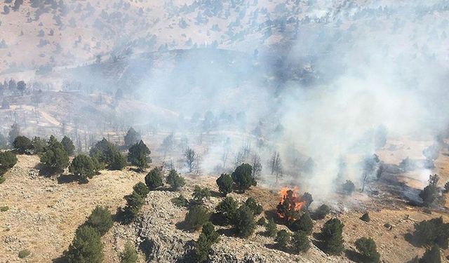 Kahramanmaraş'ta ormanlık alanda çıkan yangın söndürüldü