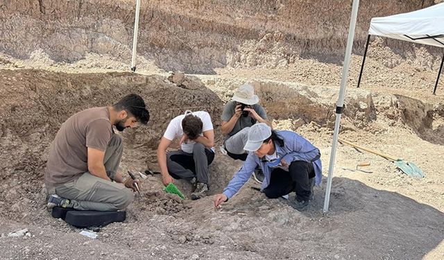 Kayseri Yamula Barajı çevresindeki fosil çeşitliliği dikkati çekiyor