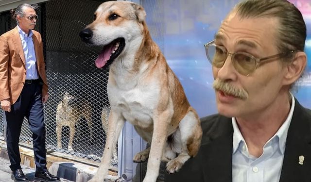 Erdal Beşikçioğlu'ndan açıklama: 'Çocuğu ısıran köpek alındığı yere bırakılacak'