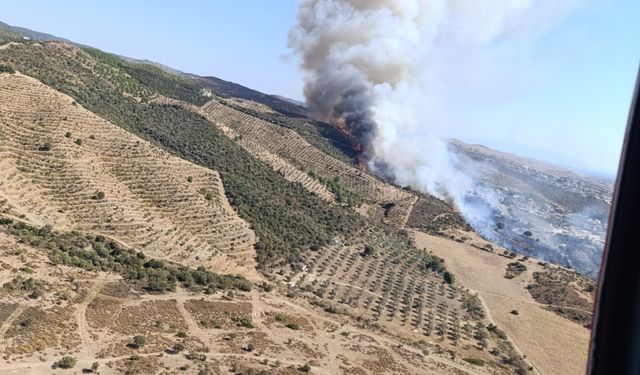 Urla'da başlayan yangın ormana sıçradı