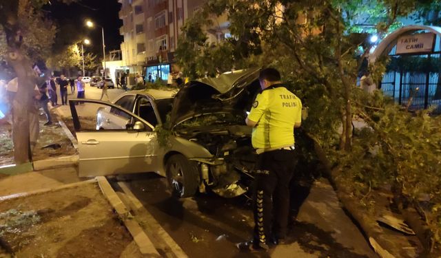 Otomobil kontrolden çıktı: Orta refüjdeki ağaca çarptı!