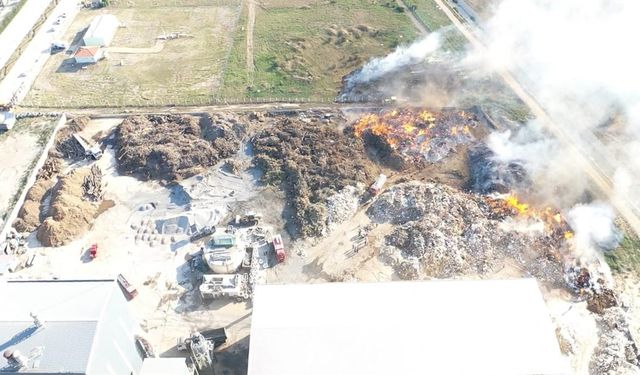 Kırklareli’nde korkutan yangınlar