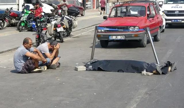 Adana'da yürek yakan kare! En acı veda