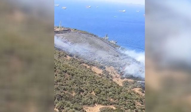 İzmir Aliağa'da çıkan orman yangını kontrol altına alındı