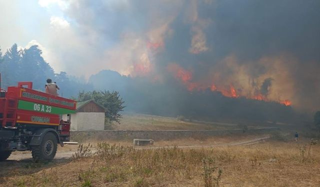 Ankara'da orman yangını!