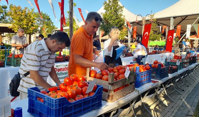 Değirmenköy'de 40. domates festivali