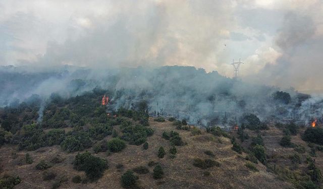 Bilecik'te çıkan orman yangını kontrol altına alındı