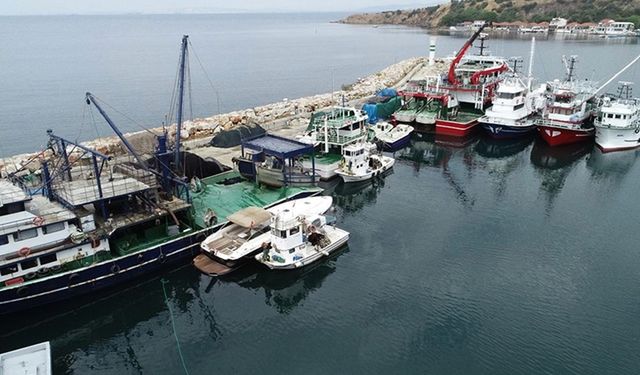 Balıkçılar av sezonunda ağlarını palamut ve lüferle doldurmayı umuyor