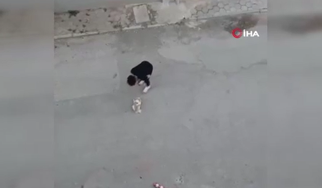 Köpeğine eziyet edip gözaltına şahıs yine utanmadı