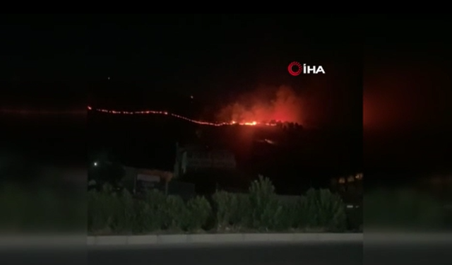 Hatay'da orman yangını! Ekipler seferber oldu