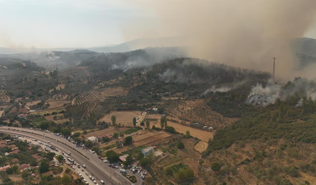 Muğla'da orman yangını felaketi! Yangın, yolu kapattı