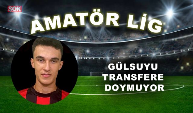 Gülsuyu transfere doymuyor