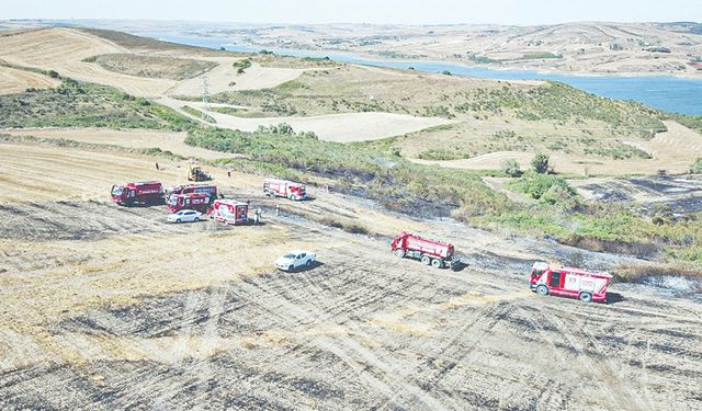 Bahçeşehir'de anız yangını