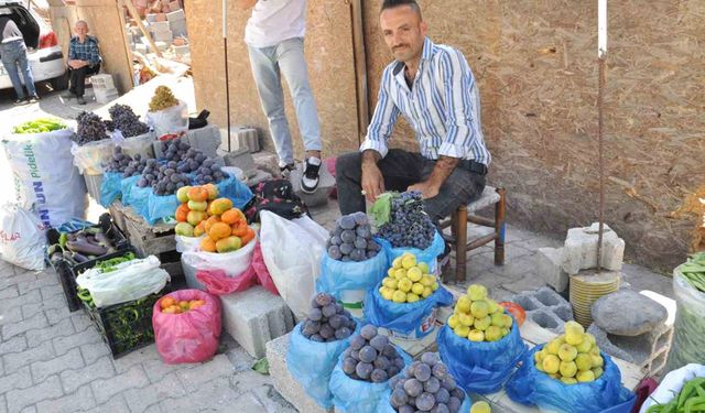 Sason’da hasadı başlayan incir tezgahlarda yerini aldı