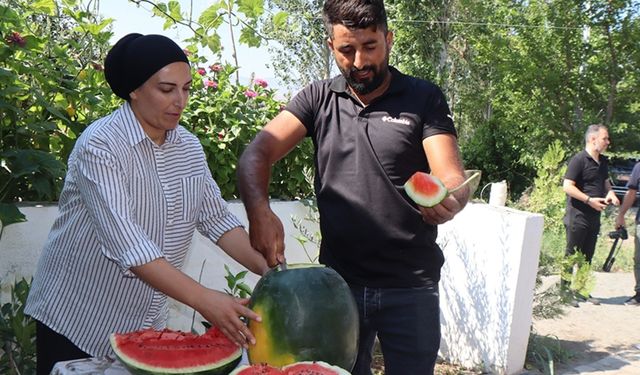 Iğdır'da üretilen karpuzun dördüncü hasadı başladı