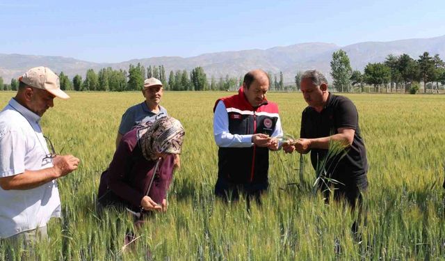 2024 Yılı Bitkisel üretim destekleri açıklandı