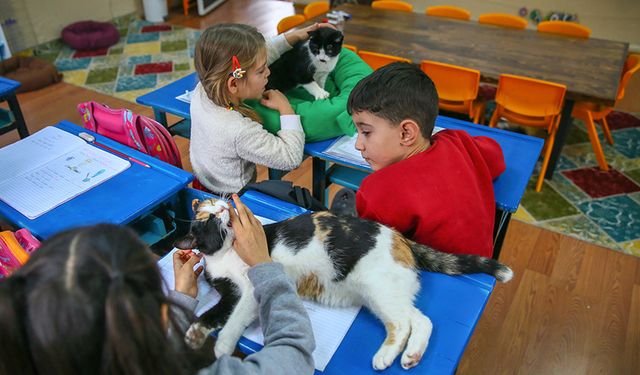 Okula dönmek veya başlamak istemeyen çocuklar için öneriler!