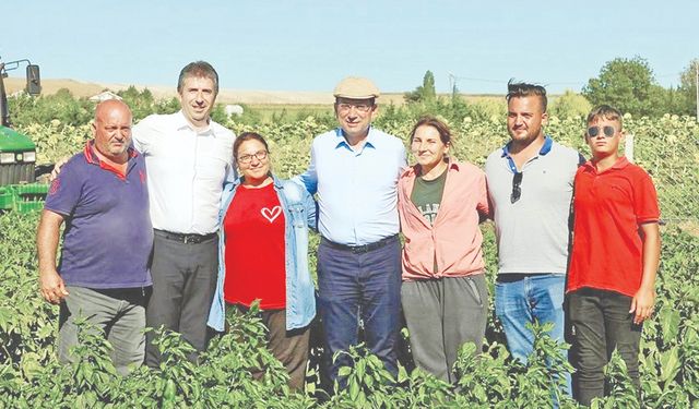 Ekrem İmamoğlu ürün topladı! Çatalca'da hasat bayramı