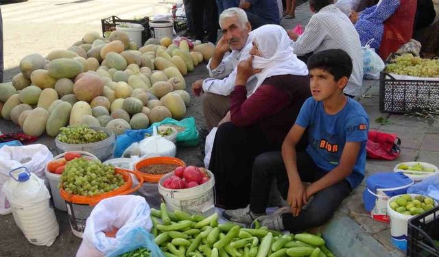 Gercüş’te organik ürünlerdeki bereket fiyatları düşürdü