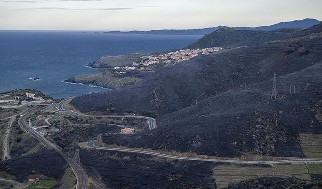 Fransa'da 400 hektardan fazla ormanlık alan yandı