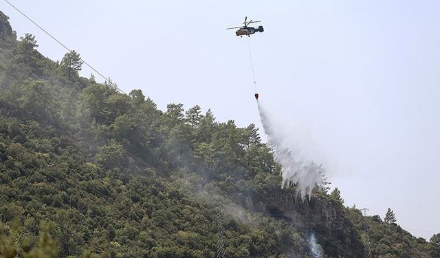 Fethiye'de ormanlık alanda çıkan söndürüldü