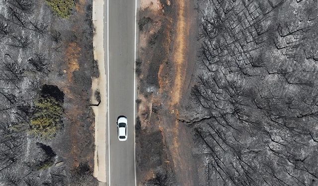 Yangınlarla boğuşan Ege'de yeşil alanlar yerini griye bıraktı