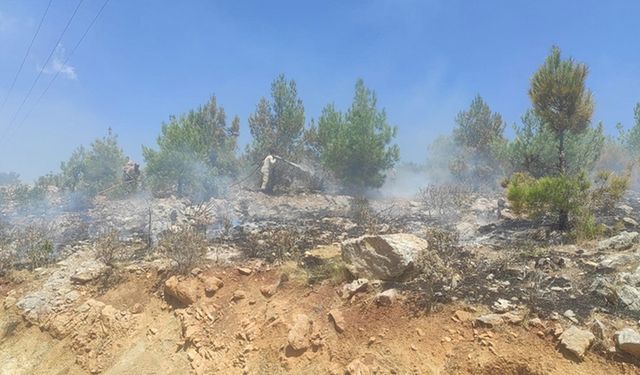 Mersin'de 4 noktada çıkan orman yangınları söndürüldü