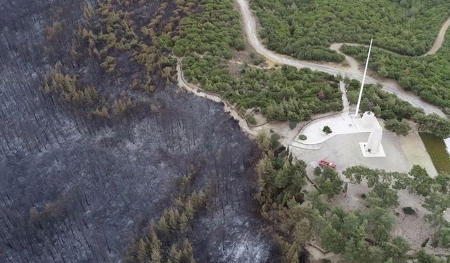 Çanakkale'de yangın nedeniyle girişlerin durdurulduğu Tarihi Alan ziyarete açıldı