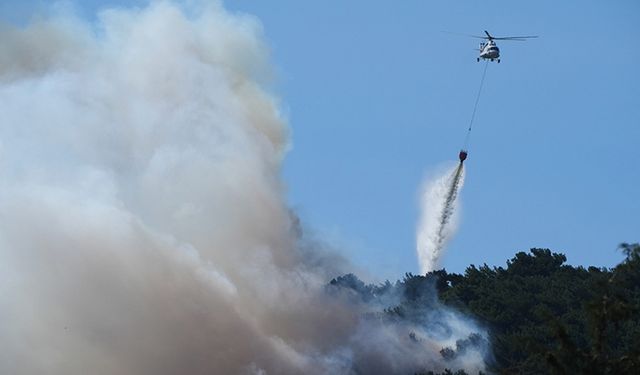 Türkiye'de orman yangınları rakamları: Yüzde 78 arttı