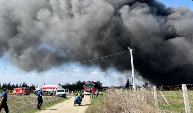 Tekirdağ'da boya fabrikasında korkutan yangın