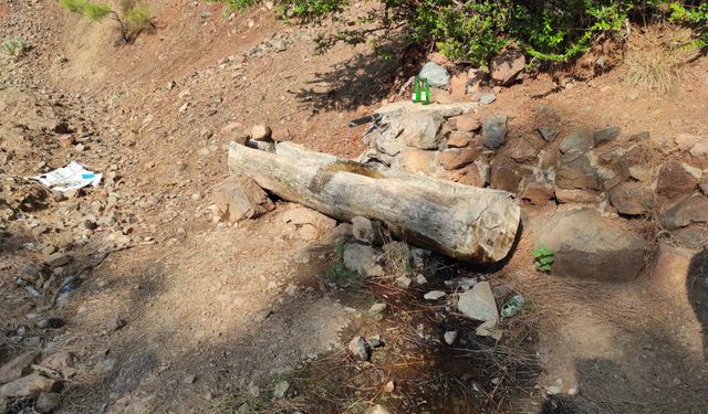 Fethiye'de yeni doğmuş bebek bulundu