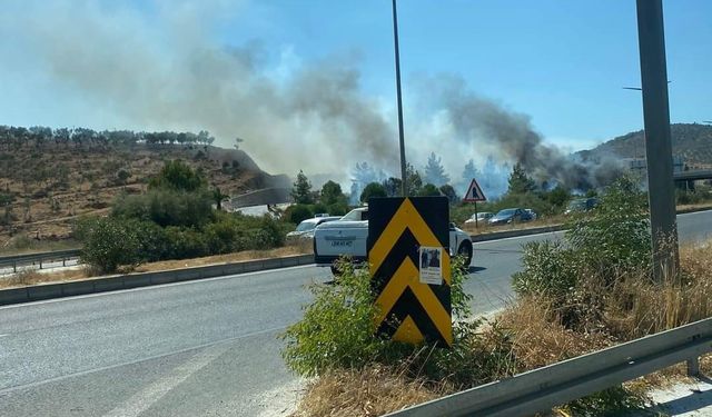 Milas'ta çıkan orman yangını kontrol altına alındı