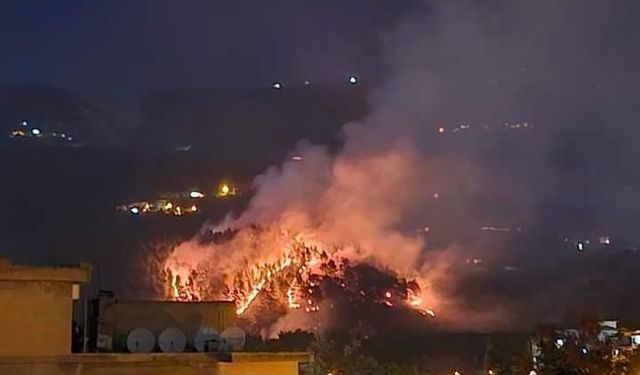 Kahramanmaraş'ta orman yangını