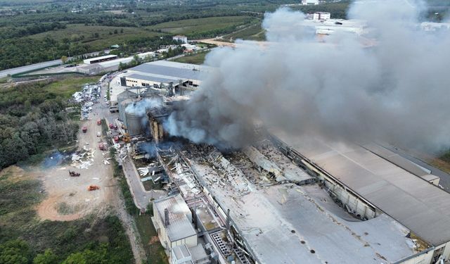 Sakarya'da fabrikadaki patlama havadan görüntülendi