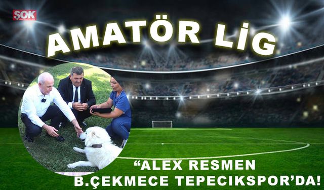 Alex resmen B.Çekmece Tepecikspor’da!