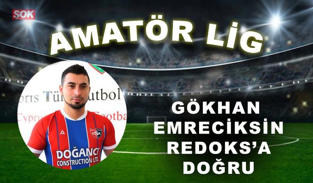 Gökhan Emreciksin Redoks’a doğru