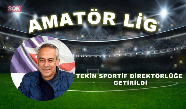 Tekin sportif direktörlüğe getirildi