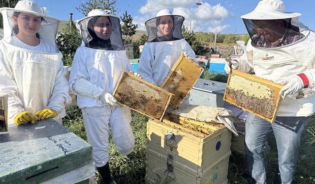 Tescilli Ardahan çiçek balında 400 tonu aşan rekolte bekleniyor