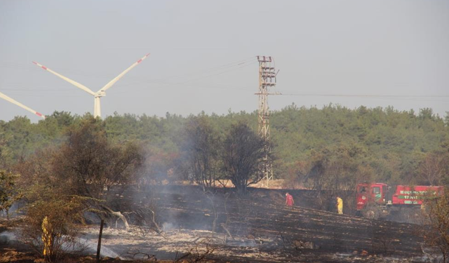 Çanakkale'de tarım arazisinde yangın çıktı