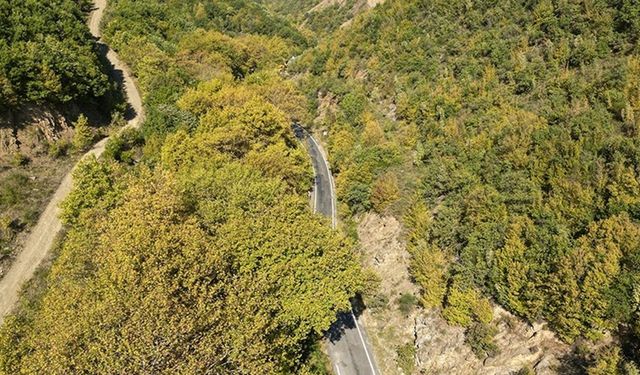 Tekirdağ'daki Ganos Dağı'nın eteklerinde sonbaharın renkleri hakim olmaya başladı