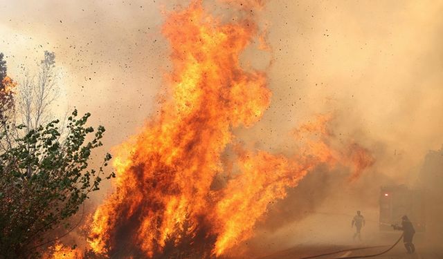 Yunanistan'da iklim krizinin getirdiği susuzlukla mücadele için su fiyatı artırılıyor