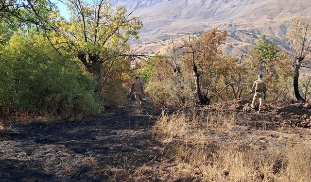 Tunceli'de ormanlık alanlarda çıkan yangınlar söndürüldü