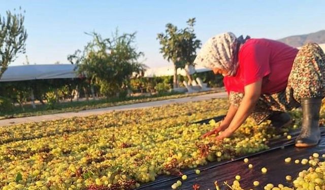 Üzümcünün gözü kulağı meteorolojide