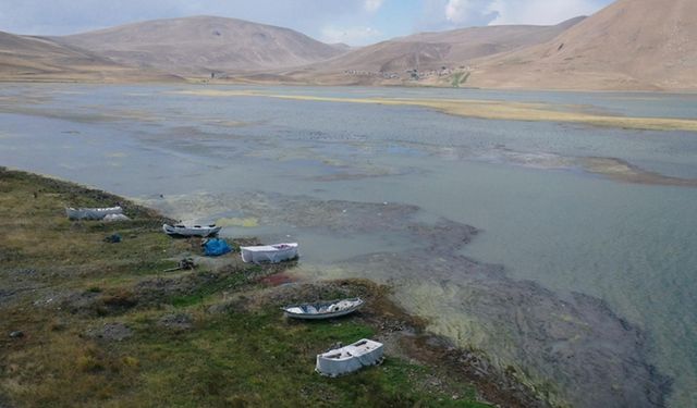 Suyu çekilen ve yosun tutan Balık Gölü'nde "canlı yaşamı" tehlikede