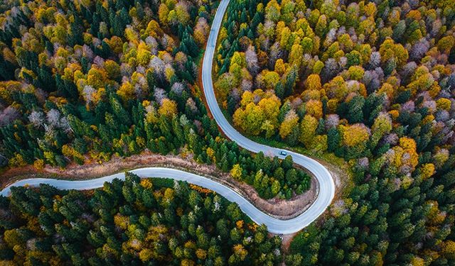 Yedigöller Milli Parkı'na ulaşım 20 Ekim'e kadar alternatif güzergahtan sağlanacak