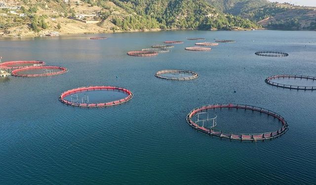 Deprem sonrası toparlanan Kahramanmaraşlı balıkçılar 54 ülkeye balık ihraç etti