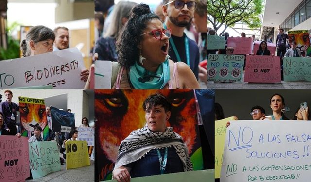 Çevre aktivistleri Kolombiya'da düzenlenen COP16 sırasında protesto düzenledi