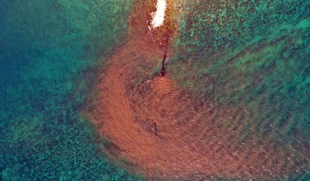 Didim'de kirli suyun arıtılmadan denize boşaltıldığı ihbarına inceleme