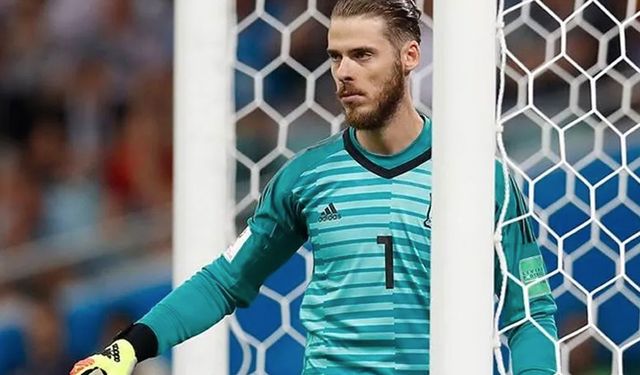 David de Gea küllerinden doğdu