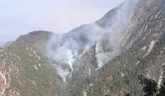 Kahramanmaraş'taki orman yangınında 40 hektar alan zarar gördü